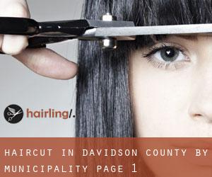 Haircut in Davidson County by municipality - page 1