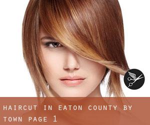 Haircut in Eaton County by town - page 1