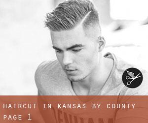 Haircut in Kansas by County - page 1