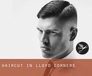 Haircut in Lloyd Corners