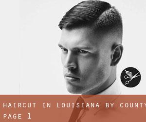 Haircut in Louisiana by County - page 1