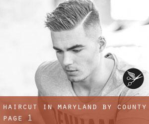Haircut in Maryland by County - page 1