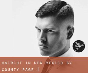 Haircut in New Mexico by County - page 1