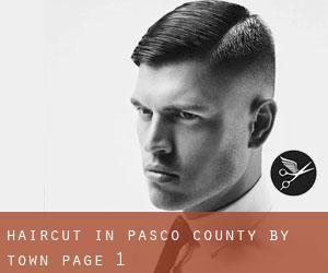Haircut in Pasco County by town - page 1