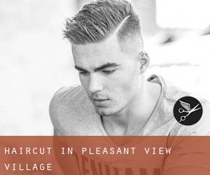 Haircut in Pleasant View Village