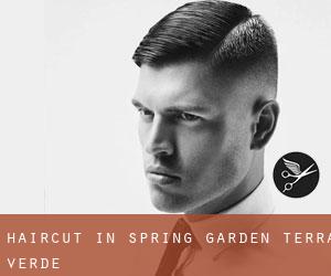 Haircut in Spring Garden-Terra Verde