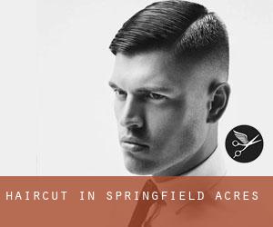 Haircut in Springfield Acres