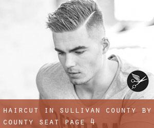 Haircut in Sullivan County by county seat - page 4