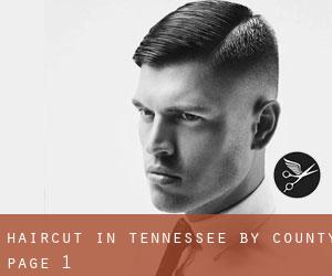 Haircut in Tennessee by County - page 1