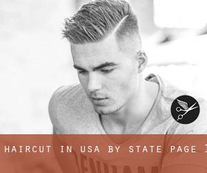 Haircut in USA by State - page 1