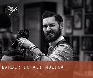 Barber in Ali Molina