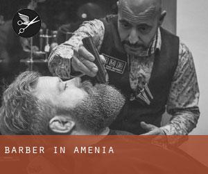 Barber in Amenia