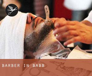 Barber in Babb