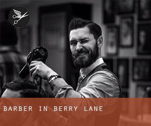 Barber in Berry Lane