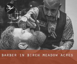 Barber in Birch Meadow Acres