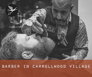Barber in Carrollwood Village