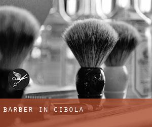 Barber in Cibola
