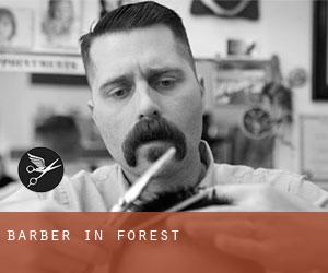 Barber in Forest