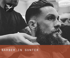Barber in Gunter