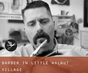 Barber in Little Walnut Village