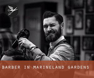 Barber in Marineland Gardens