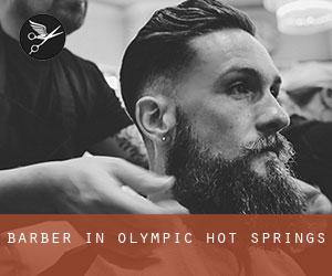Barber in Olympic Hot Springs
