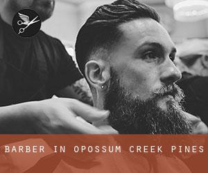Barber in Opossum Creek Pines