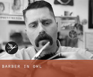 Barber in Owl