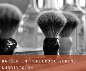 Barber in Ponderosa Spring Subdivision