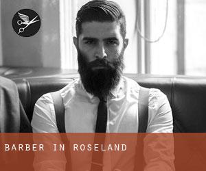 Barber in Roseland