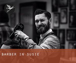 Barber in Susie