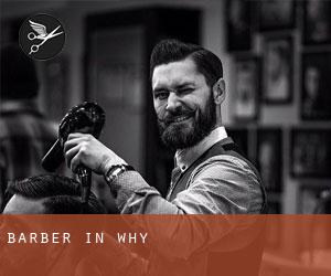 Barber in Why Barber in Why