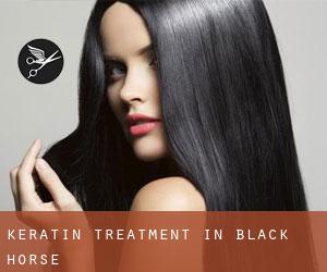 Keratin Treatment in Black Horse