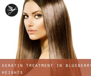 Keratin Treatment in Blueberry Heights