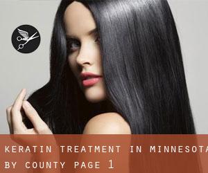 Keratin Treatment in Minnesota by County - page 1