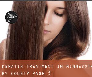 Keratin Treatment in Minnesota by County - page 3