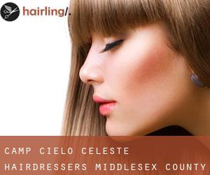 Camp Cielo Celeste hairdressers (Middlesex County, Massachusetts)