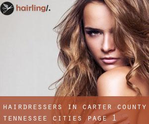 hairdressers in Carter County Tennessee (Cities) - page 1